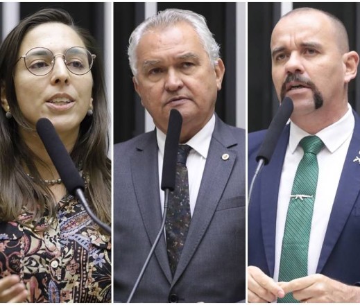 Foto: Agência Câmara / Reprodução.